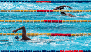 People swiming in lanes in a pool